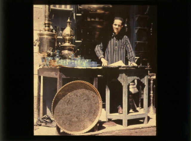Zebra-Autochrome-Archive-1.