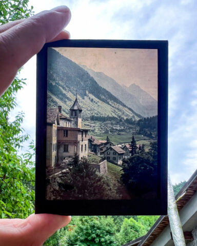Zebra-Dry-Plates-Autochrome-6