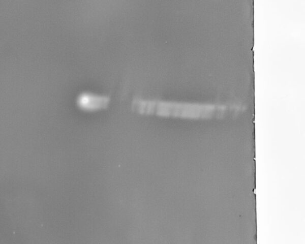 Zebra-Dry-Plates-Coating-Machine-for-Dry-Plates-Silver-Gelatine-Emulsion-17