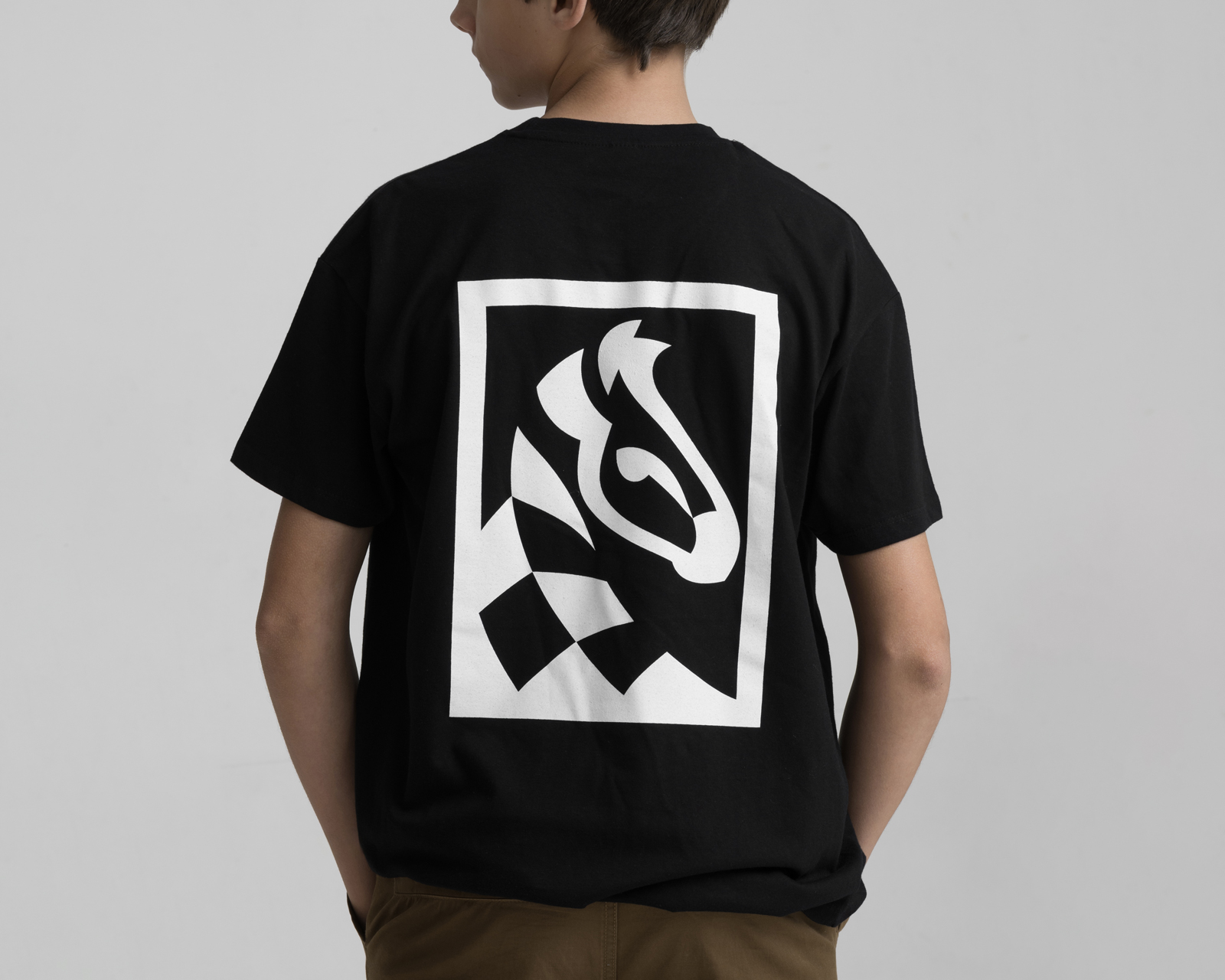 Zebra-Dry-Plates-Official-Tshirt-Back-Black