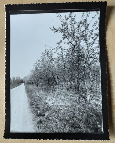 Jochen-Diary-7