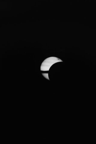 2026-Solar-Eclipse-Pimer-Cameras+Zebra-Dry-Plates-4