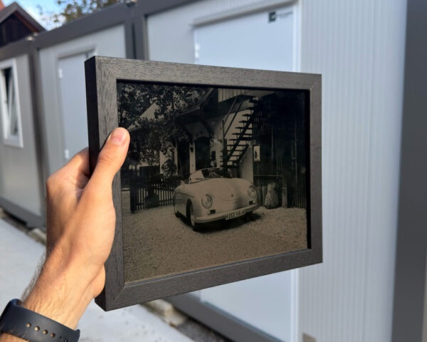 Zebra-Dry-Plate-Tintype-direct-light